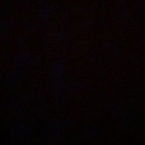 Meet your Posher, Calvin